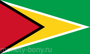 flag_of_guyana.svg.png